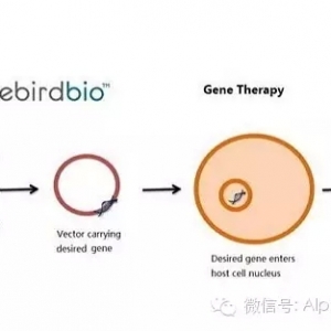 一个大咖在个性化医疗领域的投资心得