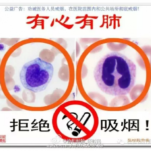 张时民：细胞公益作品之有心有肺、拒绝吸烟