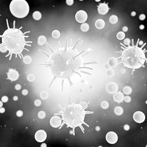 磁性纳米粒子装置可加速T细胞生成