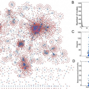 lncRNA