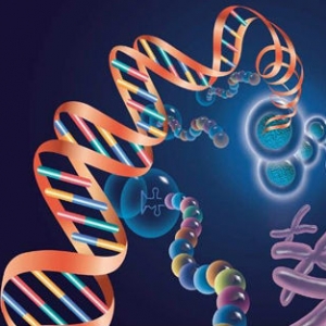 PNAS：脑脊液肿瘤游离DNA，开辟个性化医疗新纪元