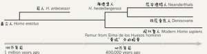 老骨头里有新生，新一代测序技术连接古今人类关系