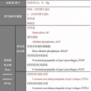 骨代谢指标这样解读