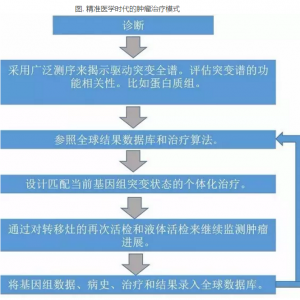 肿瘤精准医学：二代基因测序带来的新契机