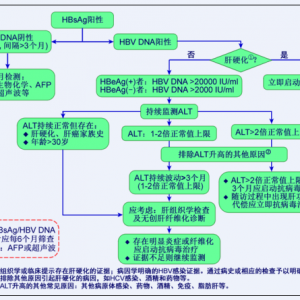 乙肝病毒携带者应如何监测肝病进展？
