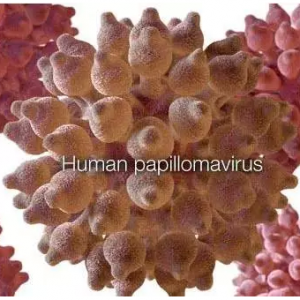 和想像当中并不一样的HPV！