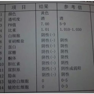 一文读懂尿常规报告单