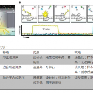 基因测序那些事