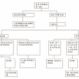 高敏肌钙蛋白检测：实验室和临床医生面临的挑战和机遇