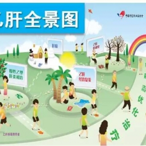 漫画解读“乙肝全景图”之春夏秋冬