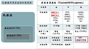 达安基因：用大众基因检测将治“已病”变为治“未病”