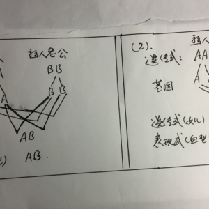 血型疑团之解