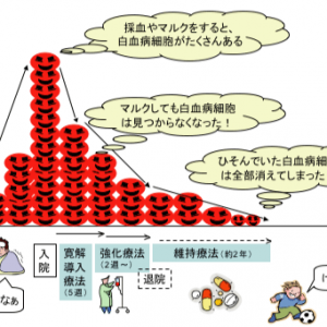 日本医生怎么把白血病给“染红”