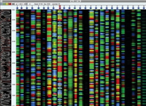 基因序列分析对照标准品增加了医学实验室检查的准确性