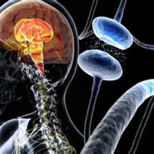 Biomarkers：四种miRNAs可能成为帕金森病早期诊断标志物