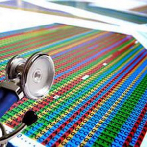 Illumina长读取技术揭示人肠道微生物多样性惊人