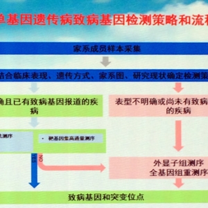 黄荷凤教授为“妇产科精准医疗”发声，如何精准控制出生缺陷？ ... ...