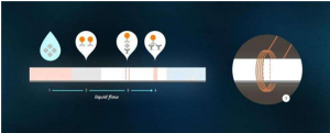 Biosens Bioelectron：利用免疫磁性试纸条高灵敏度定量检测血液
