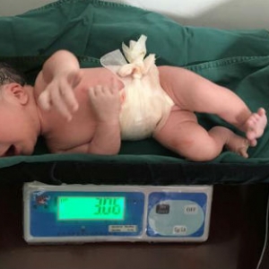 基因筛检阻断致病基因 患癌男生出健康试管婴儿