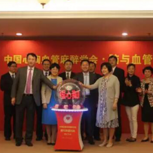 国内首个脑与血管学会在京正式成立