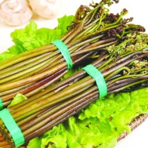 央视曝光：这种菜竟致癌 春天到了家家户户都常吃