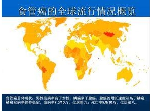 农村人最爱吃的菜竟是致癌毒物