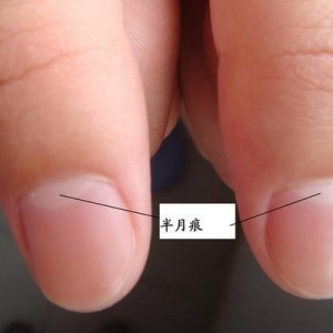 手指上有它预示长寿