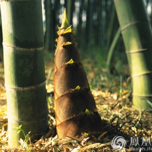 吃一顿它，可刮三天油！减肥、降血脂就靠它！
