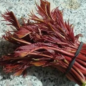 农村10种野菜最防病，为了家人赶紧收藏！
