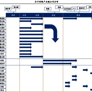分子诊断行业：“2+X”的市场格局现“雏形”