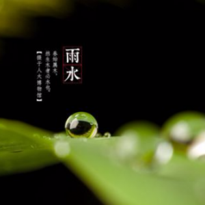 “雨水”节气最宜进补3道菜 升阳、养肝、健脾全搞定！