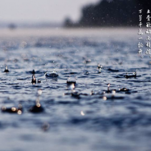 雨水节气注重养阳