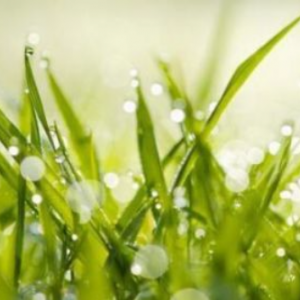 “雨水”节气如何注意养生保健？
