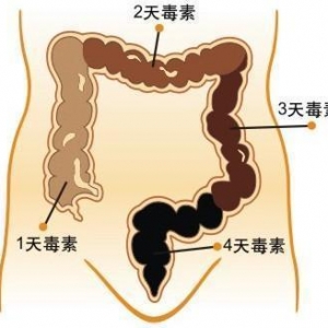 排出三分毒，少生九分病！春季排毒养肝事半功倍！
