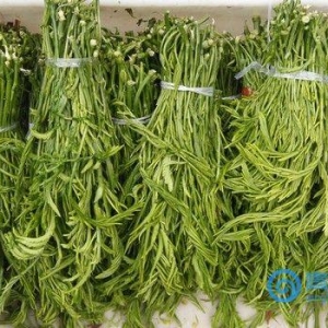 春季养生一定要吃这四种野菜