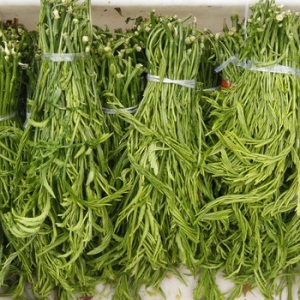 春天不能缺的4种野菜堪比良药