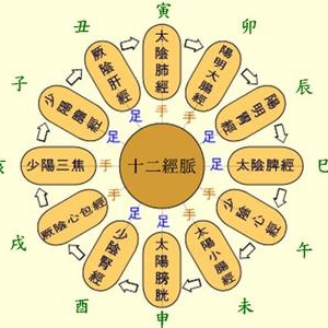 中医支招冬天养生法：一天24小时怎么养生