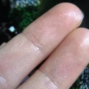 气血不足人易老!只需一碗汤,补气又补血,年轻30岁!快学~