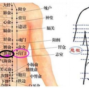 便秘、腹泻久治不愈，试试从腰上治