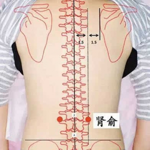 男人抖这处补肾效果惊人