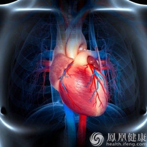 心跳多少的人最长寿