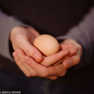 鸡蛋与5种食物同吃会短命