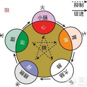 中医专家李智谈补水 凉而不冰的水养脾胃