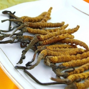 冬虫夏草一种吃法效果最好