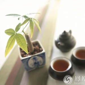 就是这一抹“绿” 可让你多活10年