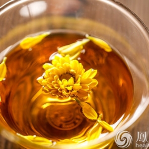 野菊花泡水禁忌6类人群