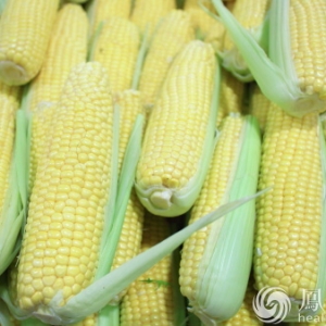 一辈子不得癌的6种吃法