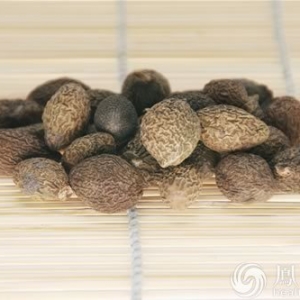 胖大海能利咽 还能治眼病