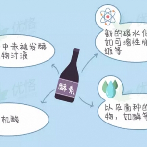 酵素能减肥？酵素就是酶？