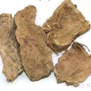 服用土三七致两人肝衰竭 民间偏方能随便乱试吗？